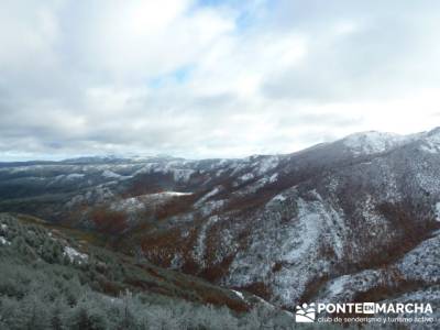 Hayedo de Pedrosa - Parque Natural Sierra Norte de Guadalajara - Hayedo de Tejera Negra